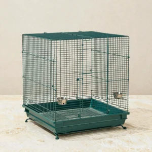 Vogelkooi Ruimte